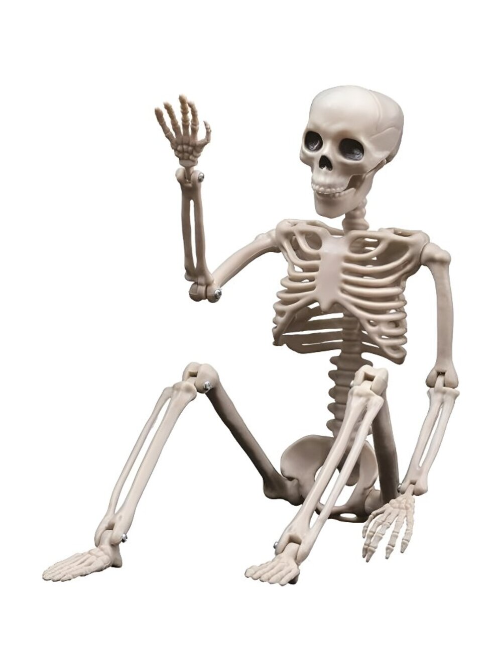 Halloween Skeletons Decorations 16" Posable Plastic Skeleton, Full Body Skeleton